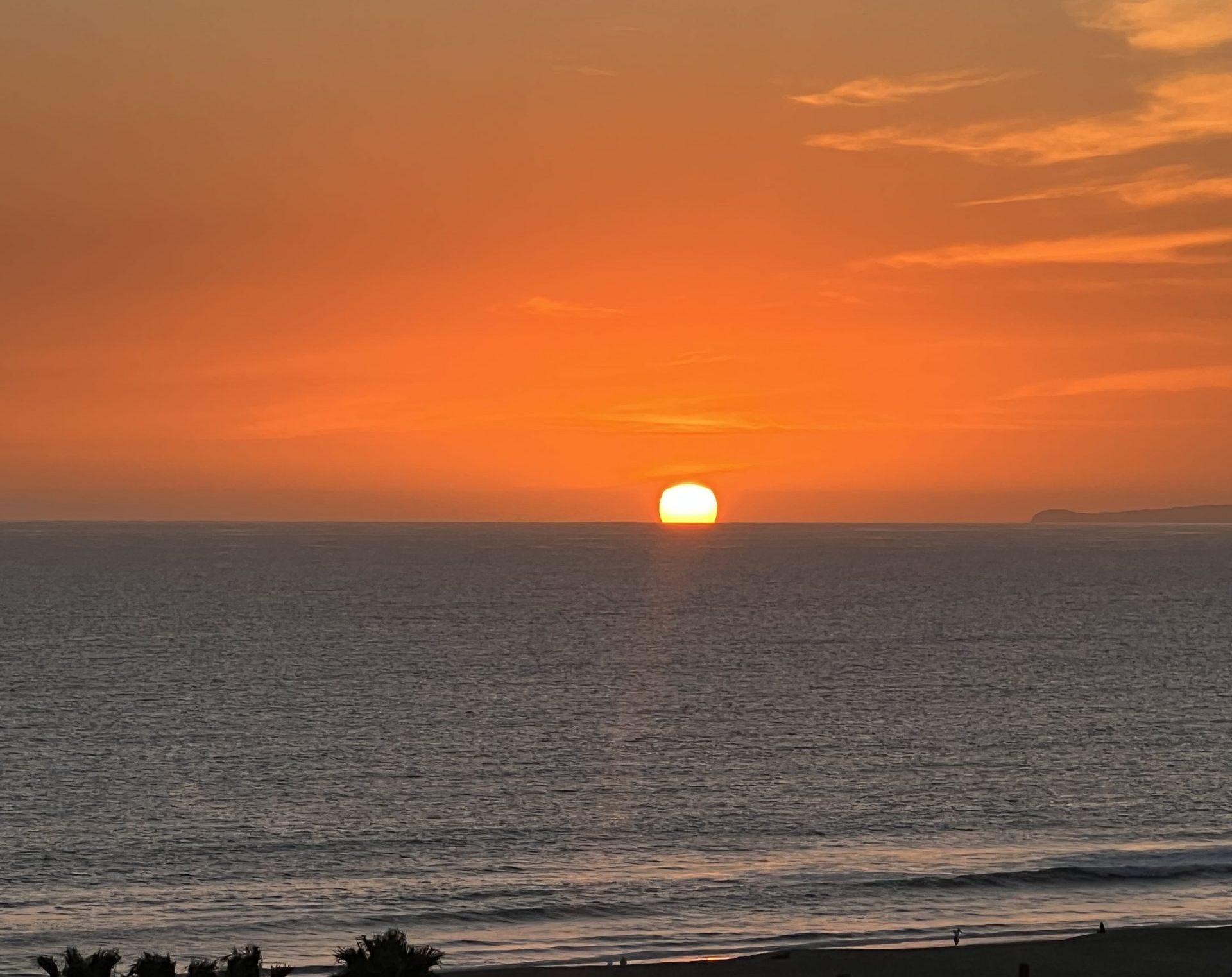 Timeshare exit, low cost